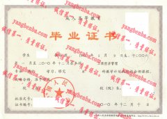 中国人民大学毕业证样本