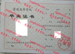 中央财政金融学院毕业证样本