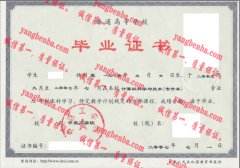 中原工学院毕业证样本