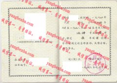 中国政法大学毕业证样本