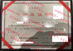 安徽中澳科技职业学院毕业证样本