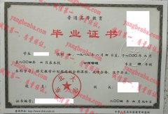 东北大学毕业证样本