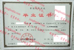 对外经济贸易大学毕业证样本