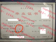 喀什教育学院毕业证样本