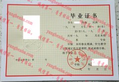 山东广播电视大学毕业证样本