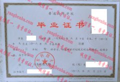 山东科技大学毕业证样本