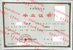 山东力明科技职业学院毕业证样本