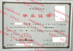 商洛职业技术学院毕业证样本