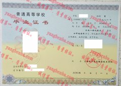 上海电子信息职业技术学院毕业证样本