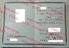 深圳大学毕业证样本