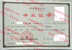 天津工艺美术职业学院毕业证样本