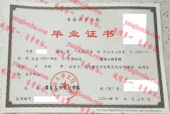 烟台大学文经学院毕业证样本