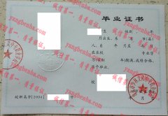 淮北市少林文武中专职业学校毕业证样本