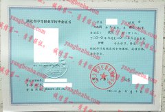 江汉大学卫生职业技术学院毕业证样本