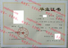 南通体臣卫生学校毕业证样本