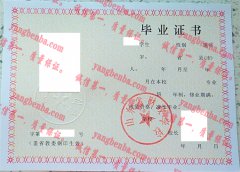 山东省财政学校毕业证样本