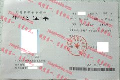 上海思博职业技术学院毕业证样本