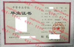 广西幼儿师范高等专科学校毕业证样本