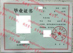 益阳市第一职业中专学校毕业证样本