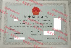 安徽财经大学学士学位证书样本