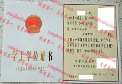 北京工业大学学士学位证书样本