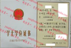 北京科技大学学士学位证书样本