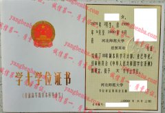 河北师范大学学士学位证书样本