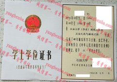 石油大学学士学位证书样本