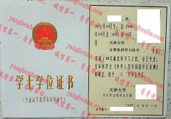 天津大学学士学位证书样本