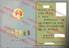 仰恩大学学士学位证书样本