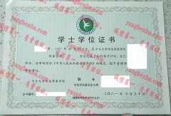 中北大学信息商务学院学士学位证书样本