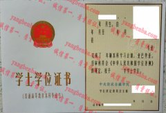 中央财政金融学院学士学位证书样本