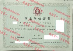 中原工学院学士学位证书样本