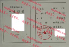 安徽省东至县大渡口中学毕业证样本