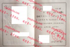 安阳县第二高级中学毕业证样本