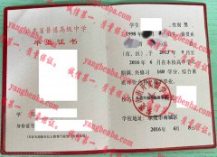 东莞市南开实验学校毕业证样本