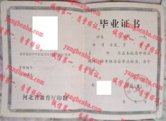 河北蓉城中学毕业证样本