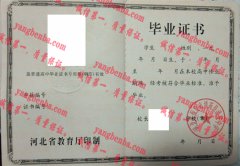 河北省保定市清苑县清苑中学毕业证样本