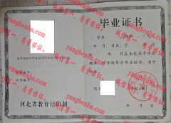 河北省玉田县林南仓中学毕业证样本
