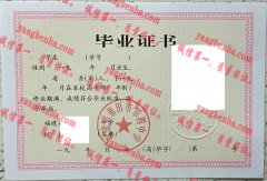 福建省莆田市第四中学毕业证样本