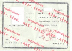 福建省清流县第一中学毕业证样本