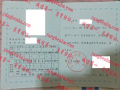 甘肃省环县第一中学毕业证样本