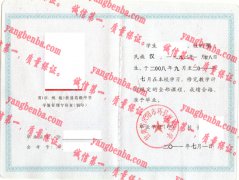 甘肃省庆阳市环县第四中学毕业证样本