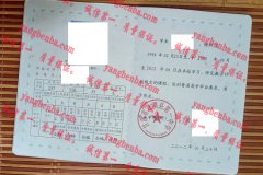 甘肃省通渭县第一中学毕业证样本