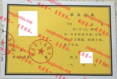 巩县第十高级中学毕业证样本