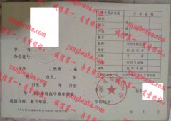 广东省徐闻中学毕业证样本