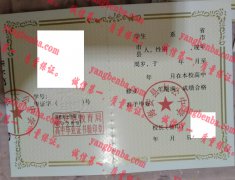 海安县大公中学毕业证样本