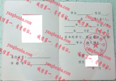 汉滨区赢湖中学毕业证样本