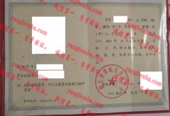 湖北省黄梅县第五中学毕业证样本