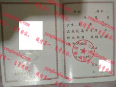 辉南县第六中学毕业证样本